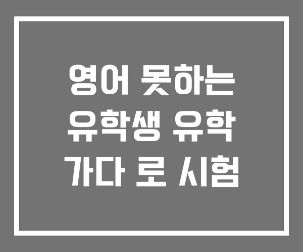 영어 못하는 유학생 유학 가다 로 시험