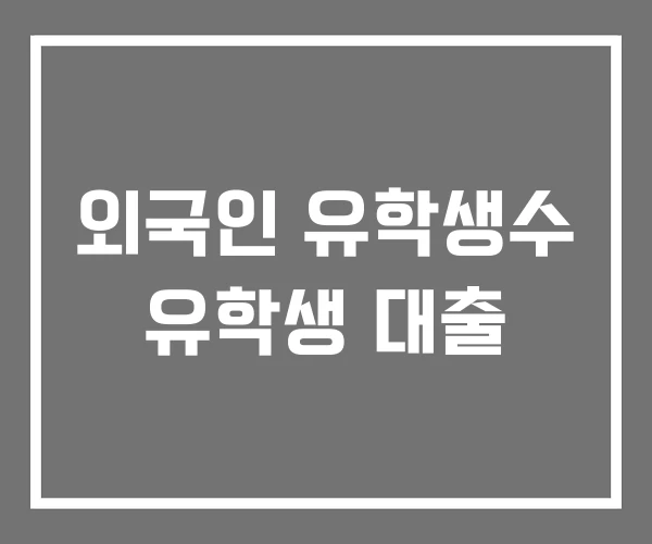 외국인 유학생수 유학생 대출 외국인 유학생수 유학생 대출
