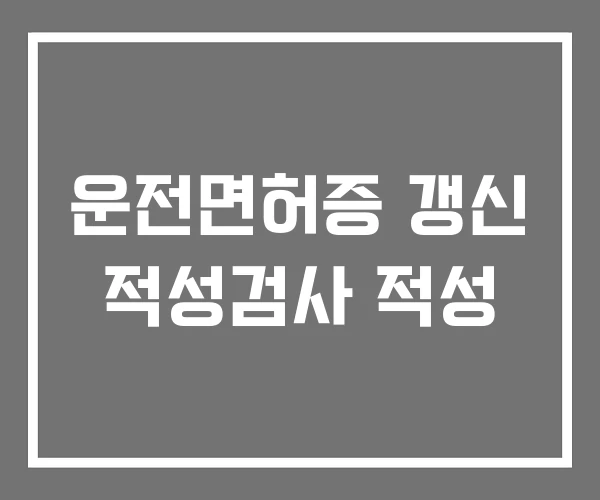 운전면허증 갱신 적성검사 적성