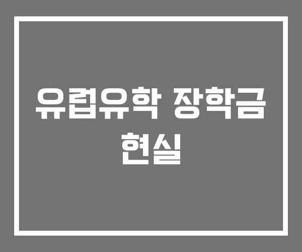 유럽유학 장학금 현실