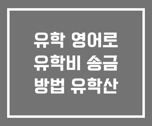 유학 영어로 유학비 송금 방법 유학산 유학 영어로 유학비 송금 방법 유학산