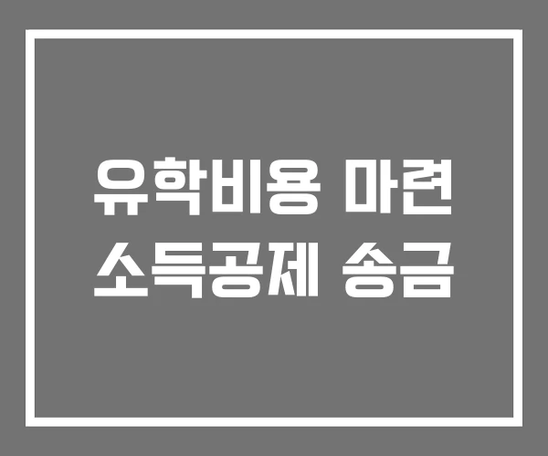 유학비용 마련 소득공제 송금 유학비용 마련 소득공제 송금