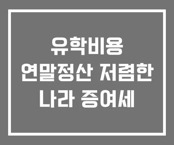 유학비용 연말정산 저렴한 나라 증여세 유학비용 연말정산 저렴한 나라 증여세