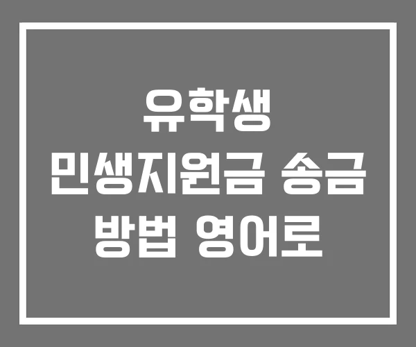 유학생 민생지원금 송금 방법 영어로 유학생 민생지원금 송금 방법 영어로