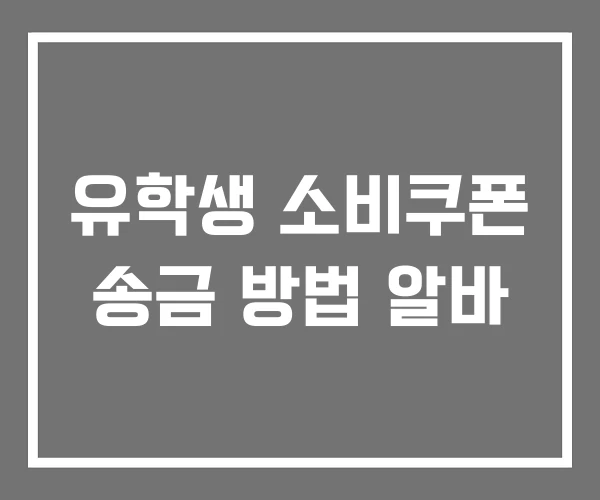 유학생 소비쿠폰 송금 방법 알바