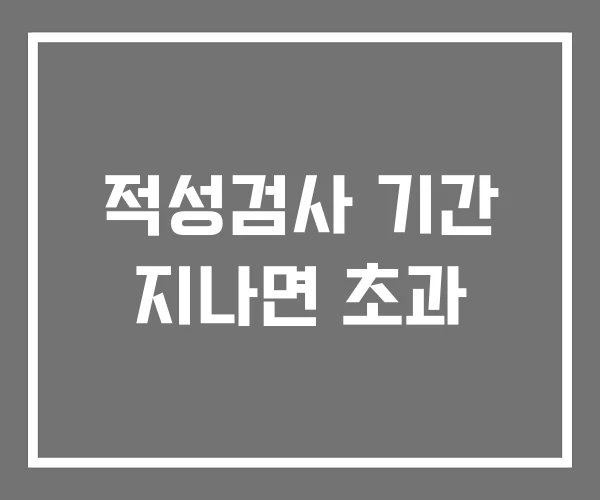 적성검사 기간 지나면 초과