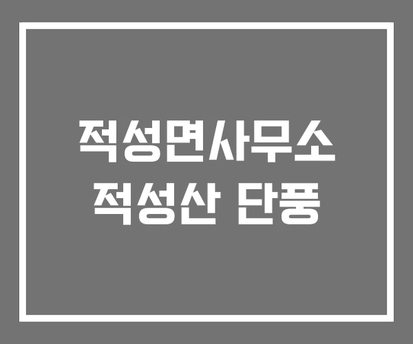 적성면사무소 적성산 단풍