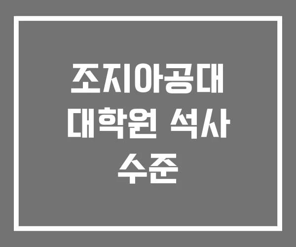 조지아공대 대학원 석사 수준