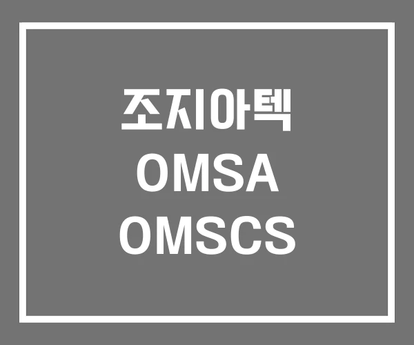 조지아텍 OMSA OMSCS 조지아텍 OMSA OMSCS