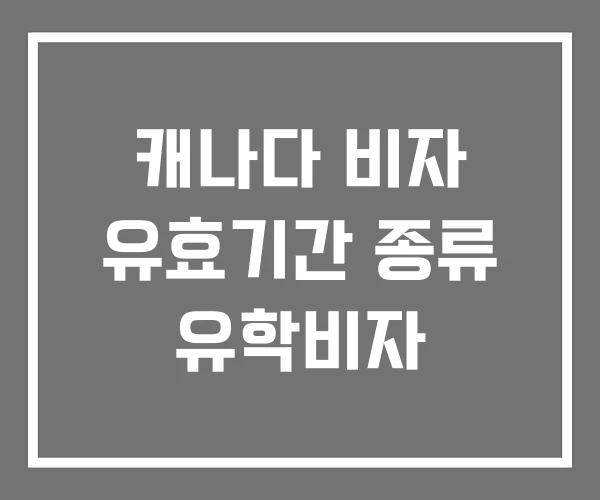 캐나다 비자 유효기간 종류 유학비자 캐나다 비자 유효기간 종류 유학비자