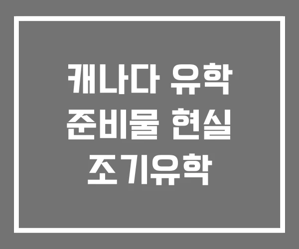 캐나다 유학 준비물 현실 조기유학 캐나다 유학 준비물 현실 조기유학