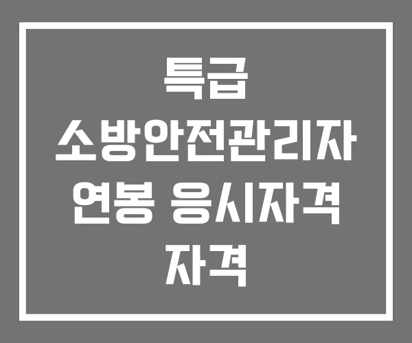 특급 소방안전관리자 연봉 응시자격 자격 특급 소방안전관리자 연봉 응시자격 자격