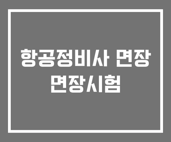 항공정비사 면장 면장시험 항공정비사 면장 면장시험