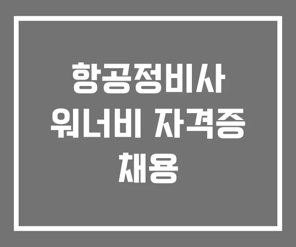 항공정비사 워너비 자격증 채용 항공정비사 워너비 자격증 채용
