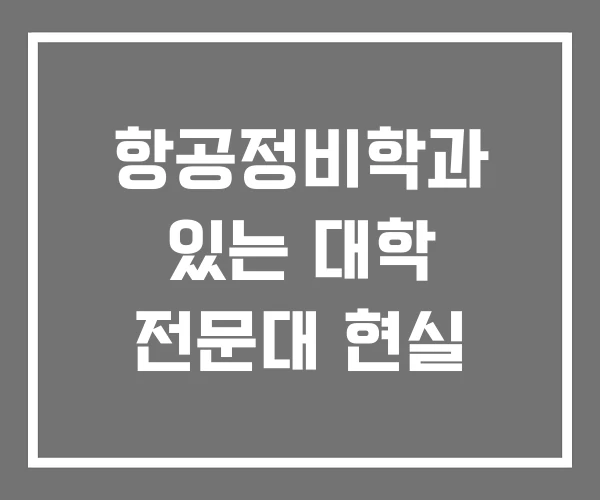 항공정비학과 있는 대학 전문대 현실 항공정비학과 있는 대학 전문대 현실
