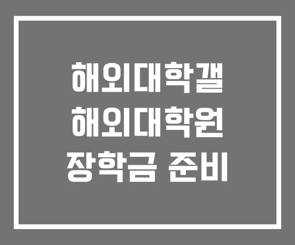 해외대학갤 해외대학원 장학금 준비