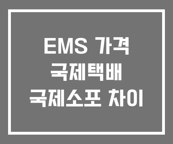 EMS 가격 국제택배 국제소포 차이