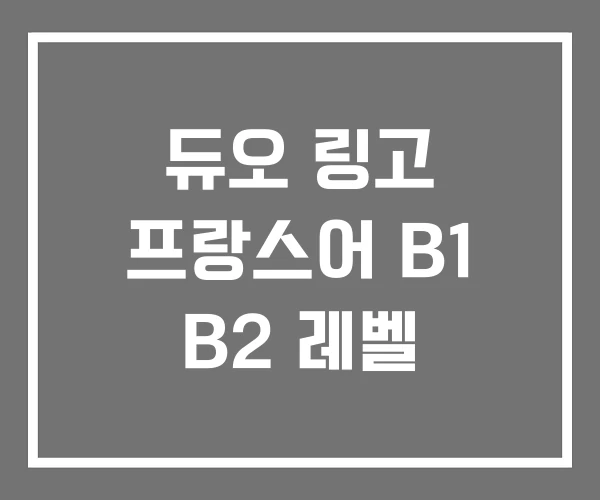 듀오 링고 프랑스어 B1 B2 레벨
