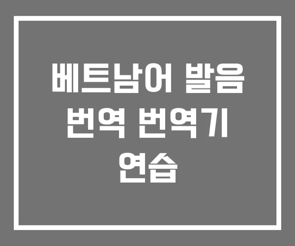 베트남어 발음 번역 번역기 연습
