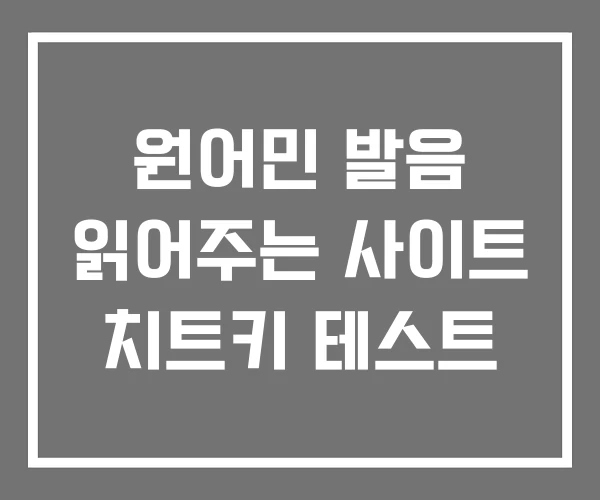 원어민 발음 읽어주는 사이트 치트키 테스트 원어민 발음 읽어주는 사이트 치트키 테스트