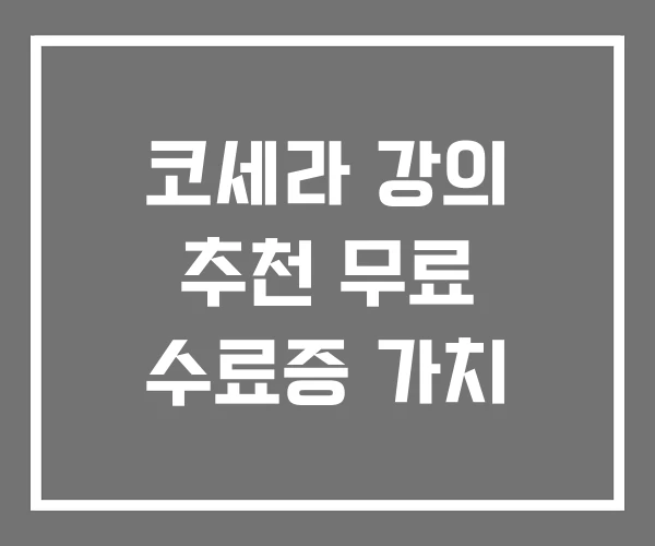 코세라 강의 추천 무료 수료증 가치