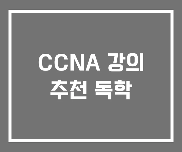CCNA 강의 추천 독학 CCNA 강의 추천 독학