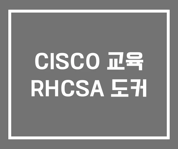 CISCO 교육 RHCSA 도커 CISCO 교육 RHCSA 도커
