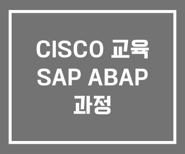 CISCO 교육 SAP ABAP 과정 CISCO 교육 SAP ABAP 과정