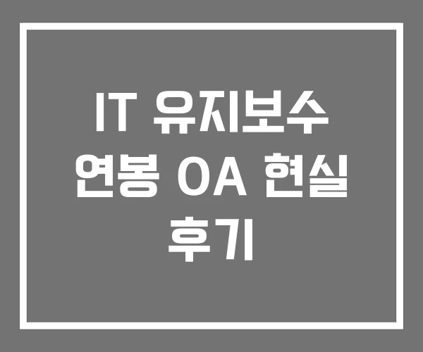 IT 유지보수 연봉 OA 현실 후기 IT 유지보수 연봉 OA 현실 후기