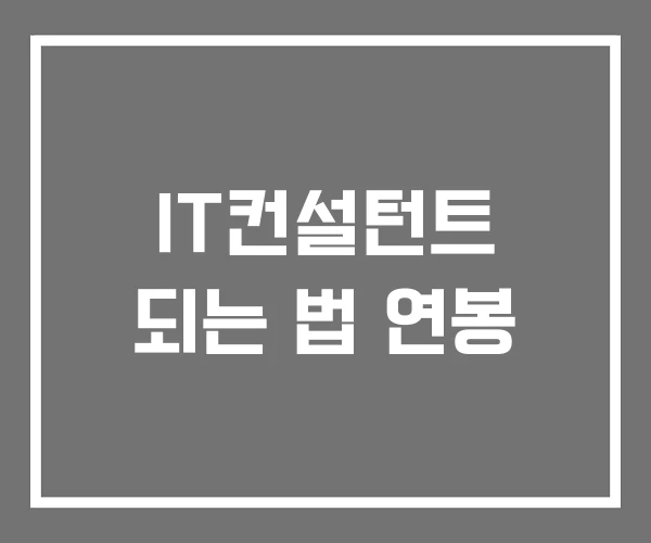 IT컨설턴트 되는 법 연봉 IT컨설턴트 되는 법 연봉