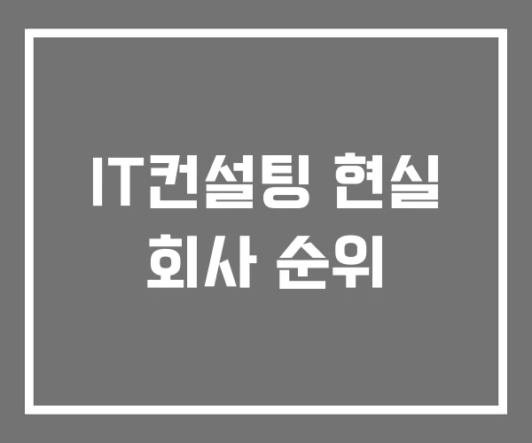 IT컨설팅 현실 회사 순위 IT컨설팅 현실 회사 순위