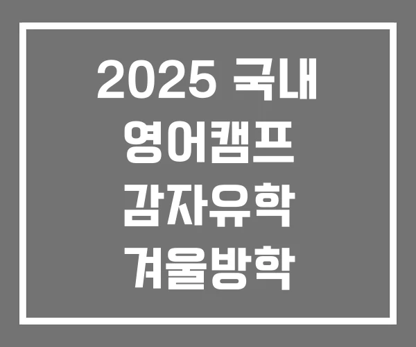 2025 국내 영어캠프 감자유학 겨울방학 어학연수
