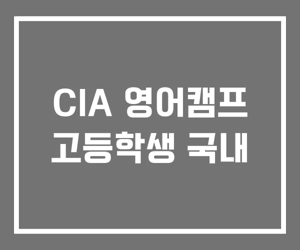 CIA 영어캠프 고등학생 국내