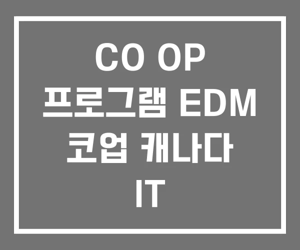 CO OP 프로그램 EDM 코업 캐나다 IT