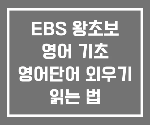 EBS 왕초보 영어 기초 영어단어 외우기 읽는 법 EBS 왕초보 영어 기초 영어단어 외우기 읽는 법