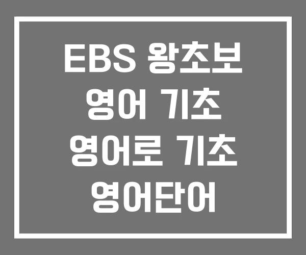 EBS 왕초보 영어 기초 영어로 기초 영어단어