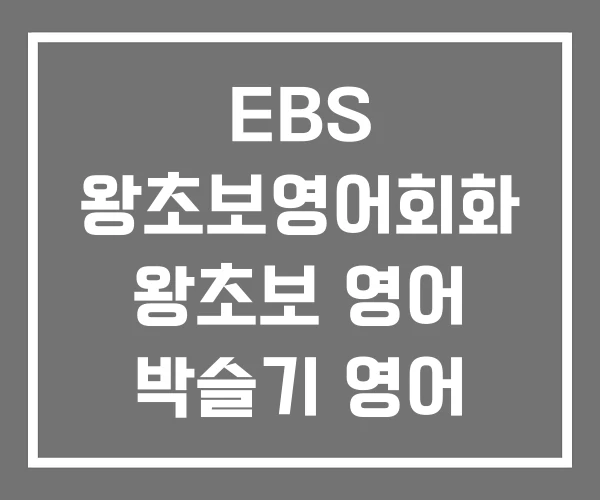 EBS 왕초보영어회화 왕초보 영어 박슬기 영어 공부 방법