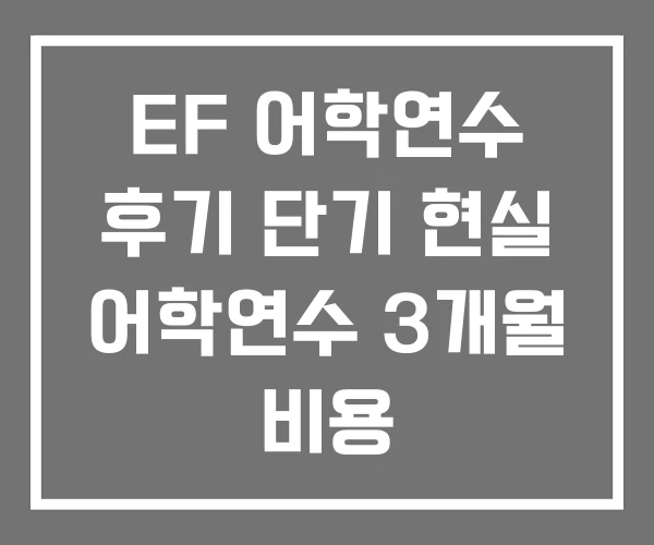 EF 어학연수 후기 단기 현실 어학연수 3개월 비용 EF 어학연수 후기 단기 현실 어학연수 3개월 비용