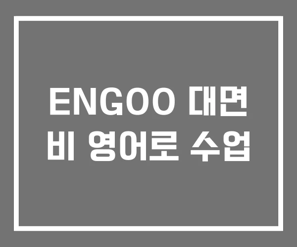 ENGOO 대면 비 영어로 수업