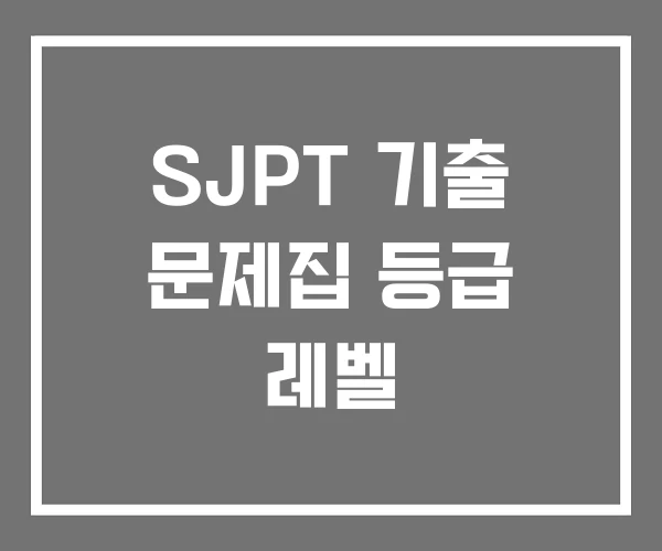 SJPT 기출 문제집 등급 레벨
