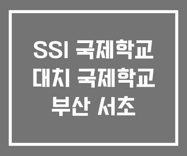 SSI 국제학교 대치 국제학교 부산 서초