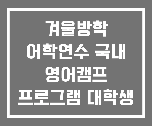 겨울방학 어학연수 국내 영어캠프 프로그램 대학생 겨울방학 어학연수 국내 영어캠프 프로그램 대학생