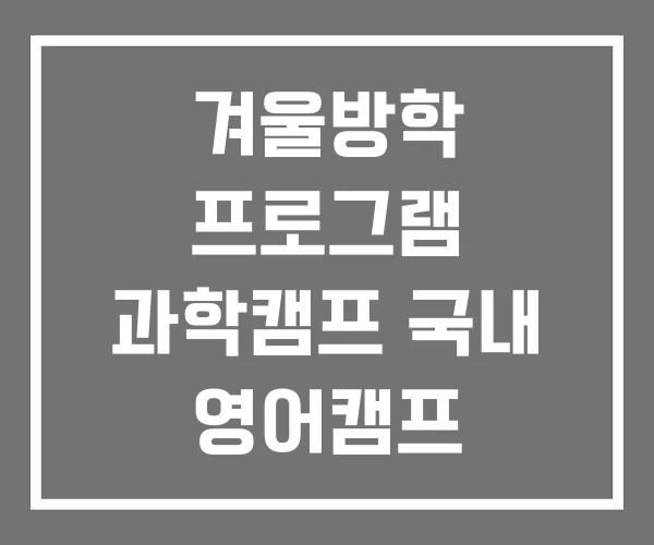 겨울방학 프로그램 과학캠프 국내 영어캠프