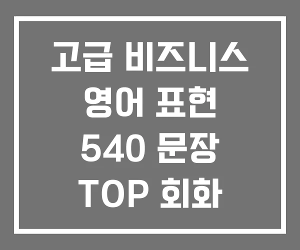 고급 비즈니스 영어 표현 540 문장 TOP 회화