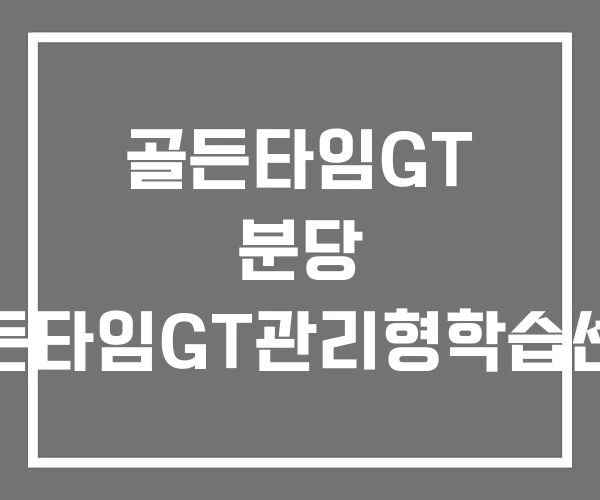 골든타임GT 분당 골든타임GT관리형학습센터