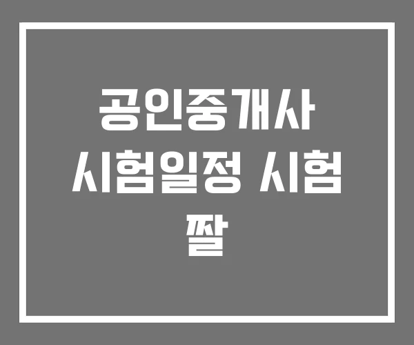 공인중개사 시험일정 시험 짤