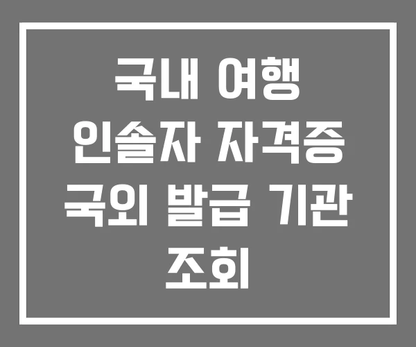 국내 여행 인솔자 자격증 국외 발급 기관 조회