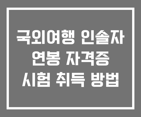 국외여행 인솔자 연봉 자격증 시험 취득 방법