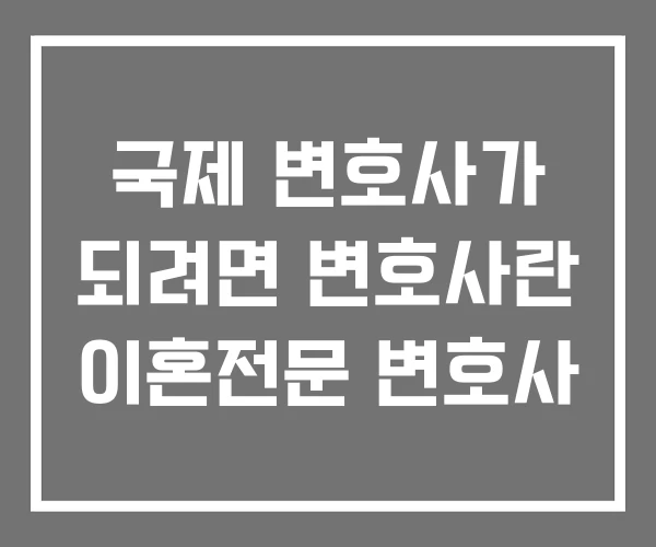 국제 변호사가 되려면 변호사란 이혼전문 변호사