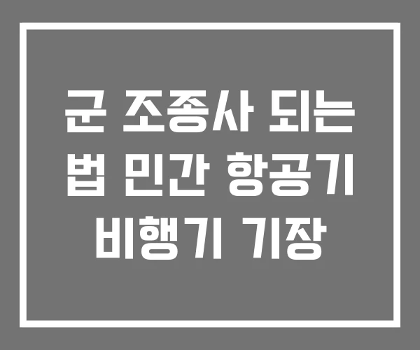 군 조종사 되는 법 민간 항공기 비행기 기장